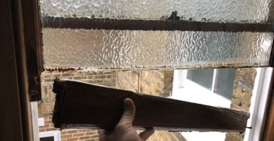 1f141cba-e289-490b-a162-d20ed5d54b2c