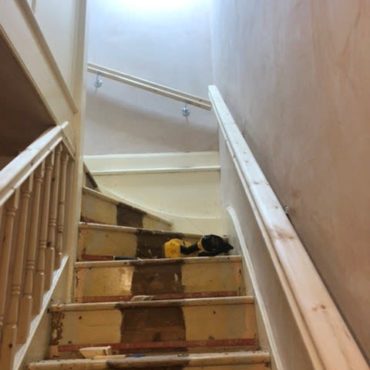 Carpet removed, treads exposed